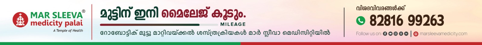 spot_img