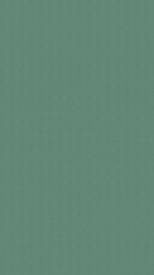spot_img